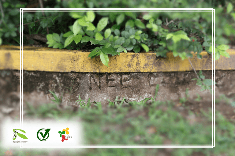 Greenspots Expands: New Mini-Forest Planted at Hun Sen Wat Truey Koh Primary