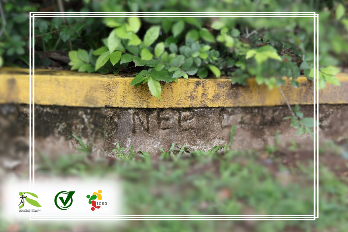 Greenspots Expands: New Mini-Forest Planted at Hun Sen Wat Truey Koh Primary